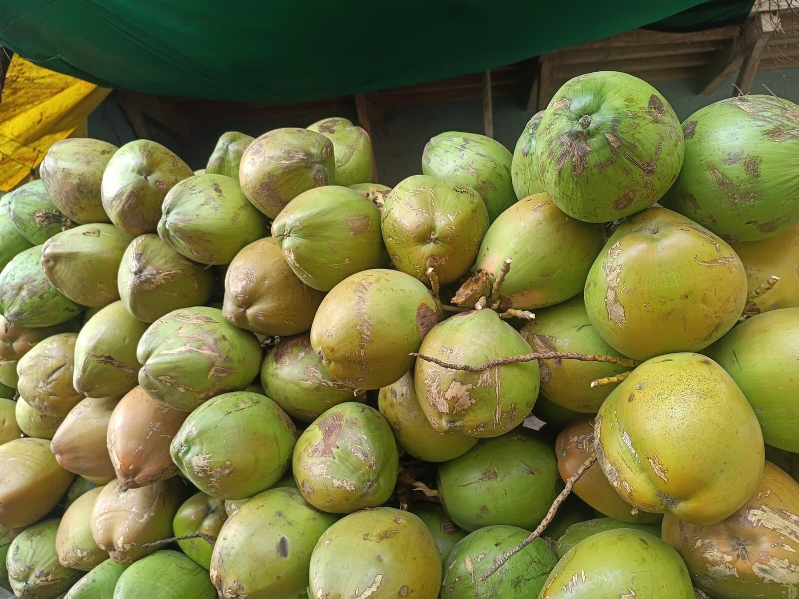 Fresh tender coconut opened to show sweet water and soft kernel