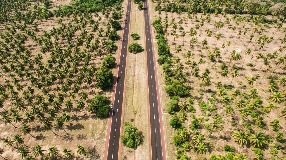 Aerial view of an access road running through a coconut plantation